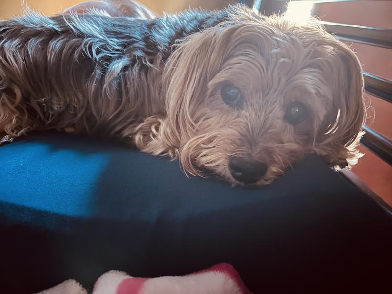 Full belly nap time