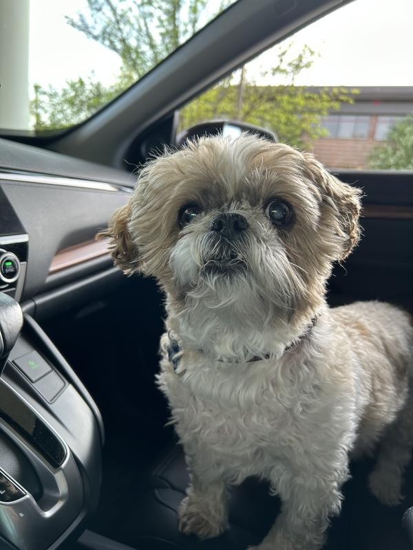 Freshpet Healthy Natural Dog Food, Fresh Grain Free Chicken Roll