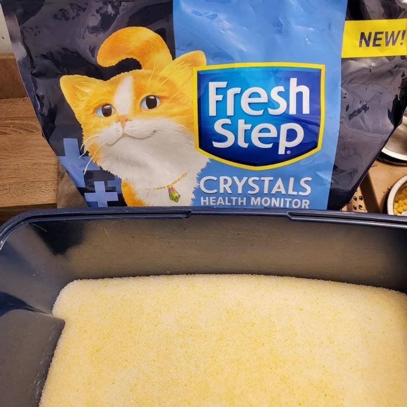 Fresh Step Clean Paws Cat Litter Review - Pet Territory