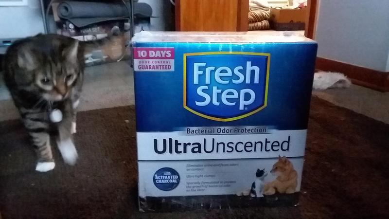 Fresh step hotsell ultra unscented litter