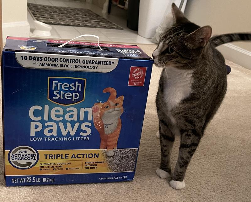 Fresh Step Clean Paws Triple Action Scented Litter, Clumping Cat Litter,  22.5 lbs 