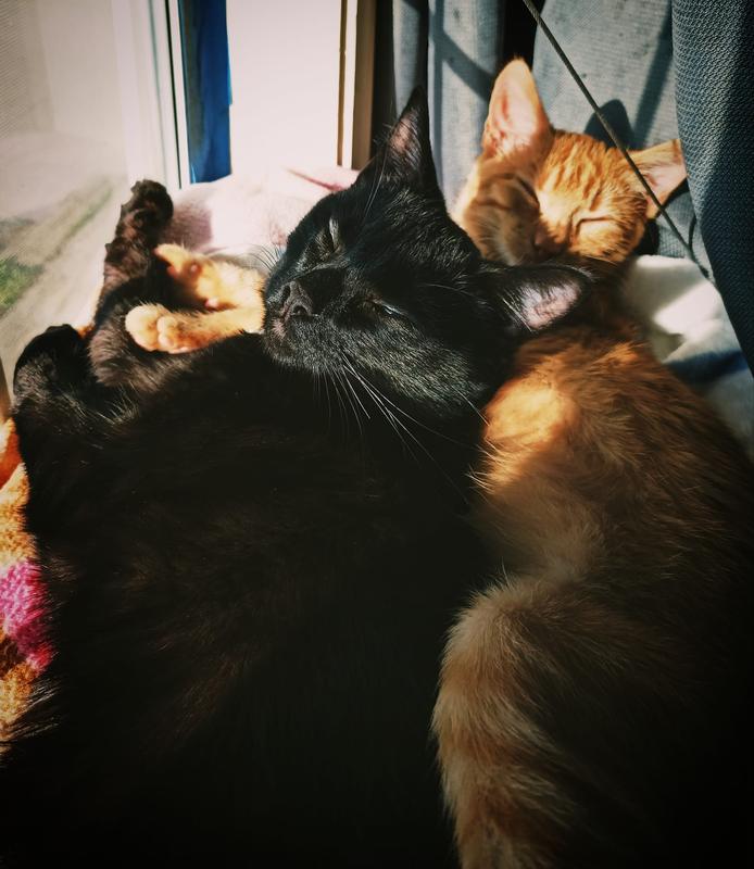 Stinky Boys, Onny and Tigger!