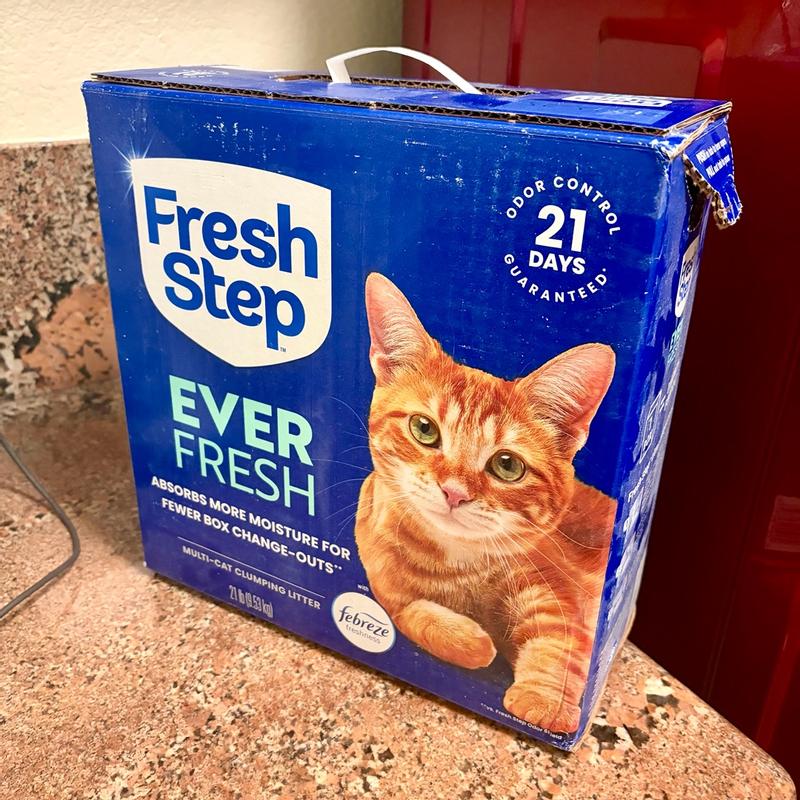 Fresh Step Outstretch Clumping Cat Litter with Febreze and Activated ...