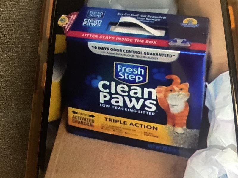 Clean paws litter review sale