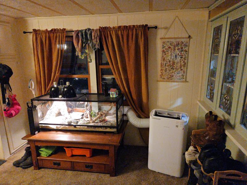 Up and running