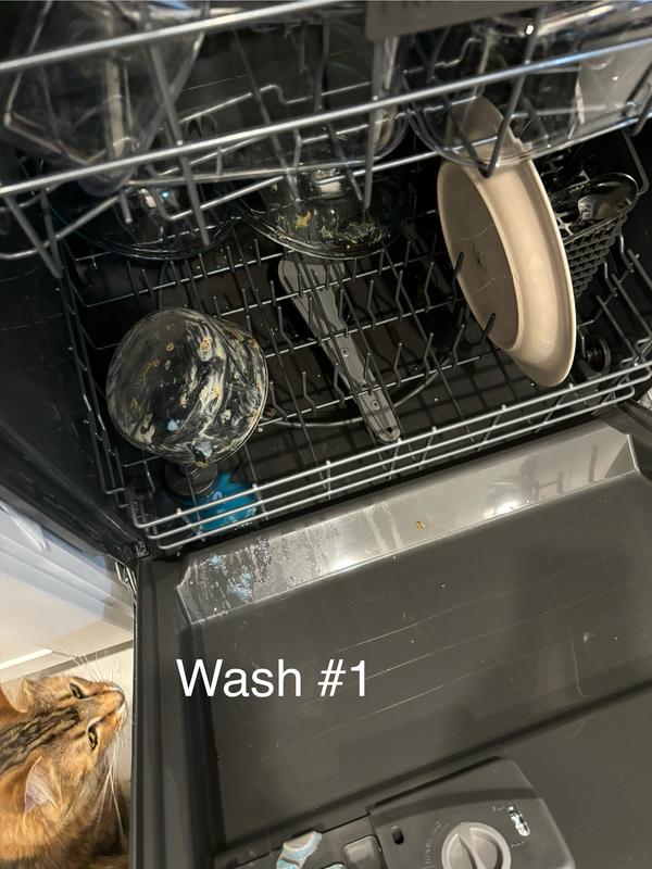 Customer photo 2 of 5. Click to open full size image.