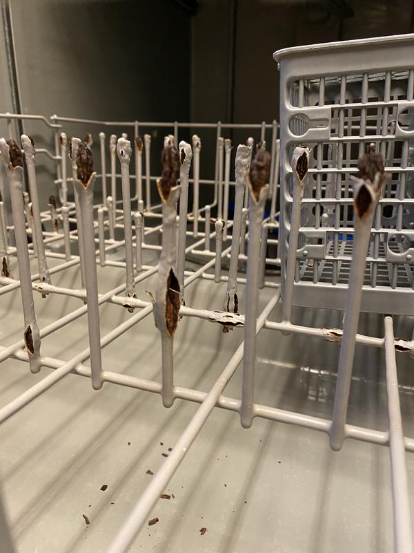 Customer photo 2 of 5. Click to open full size image.