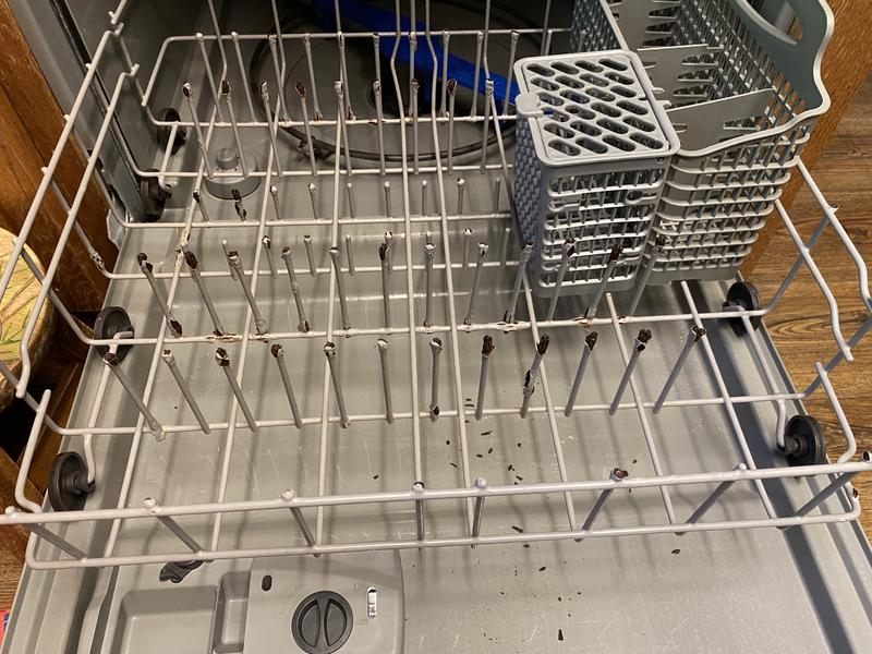 Customer photo 1 of 5. Click to open full size image.