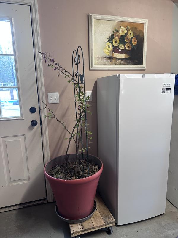 Customer photo 3