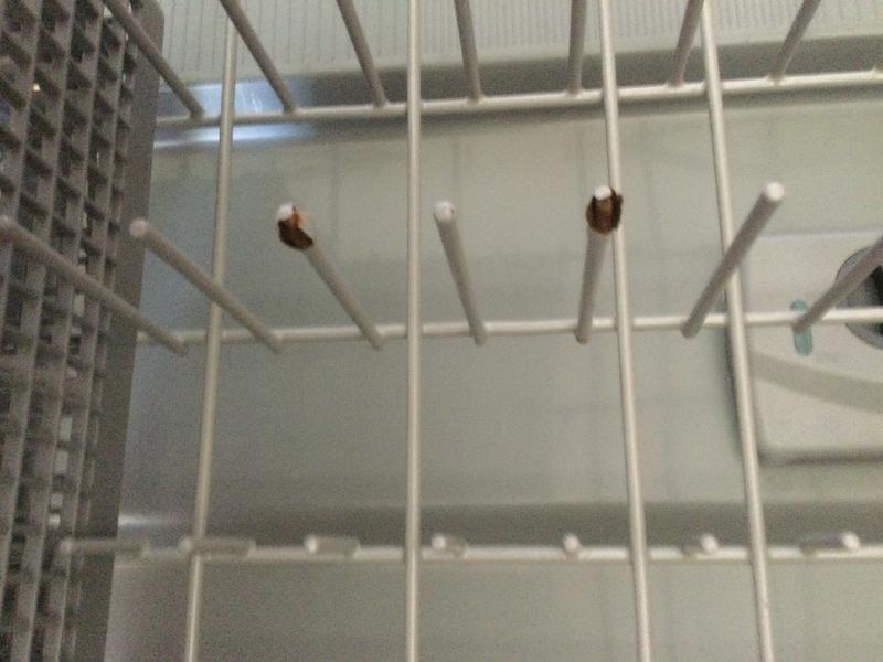 Customer photo 5 of 6. Click to open full size image.