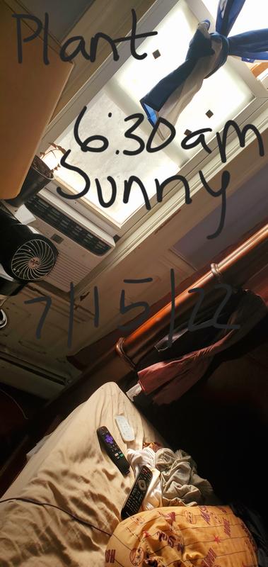 Picture of my new A/C and I am making a video diary for my plant hobby.