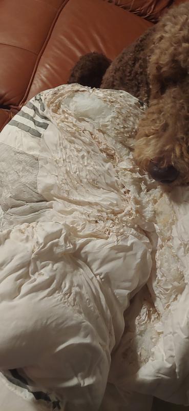 Customer photo 3 of 4. Click to open full size image.