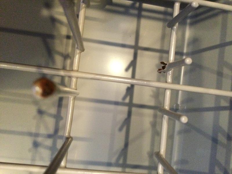 Customer photo 2 of 6. Click to open full size image.