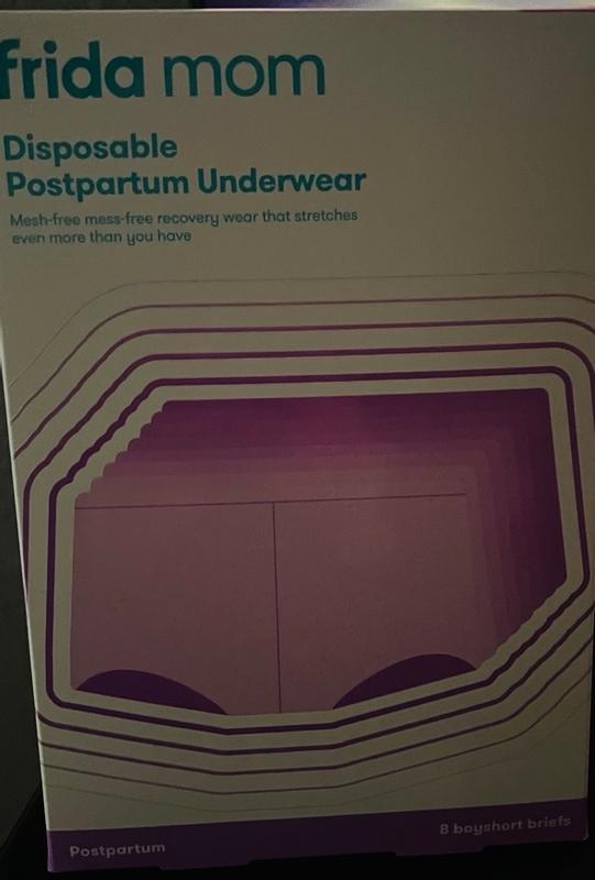 Frida Mom Disposable Postpartum Underwear for Women, Boyshort, One