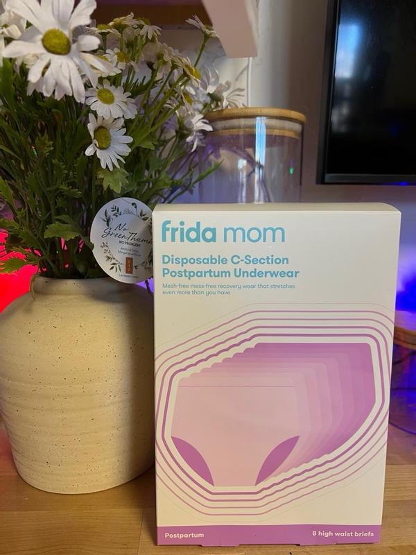 Frida Mom Disposable Postpartum Underwear Boy Shorts Briefs - Regular 8ct