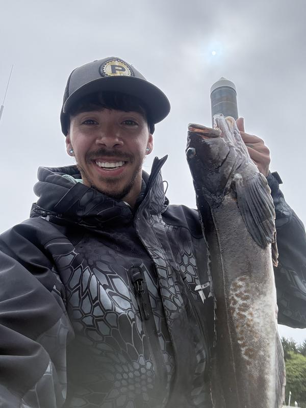Ling cod on the coast