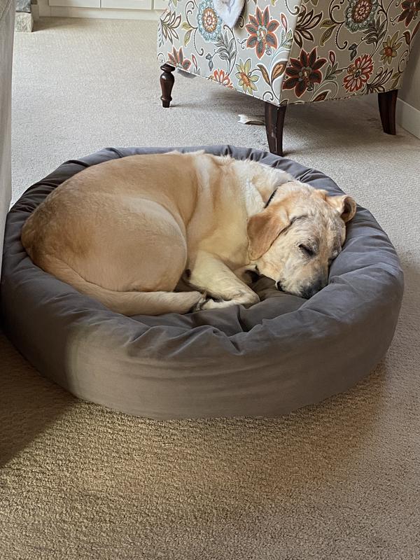 Mammoth Oblong Outdoor Dog Bed