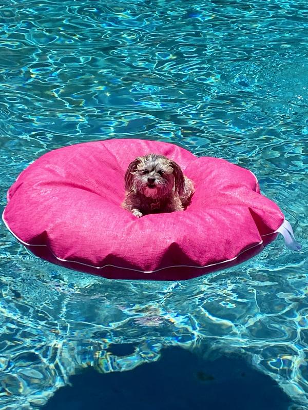 Water float for outlet dogs