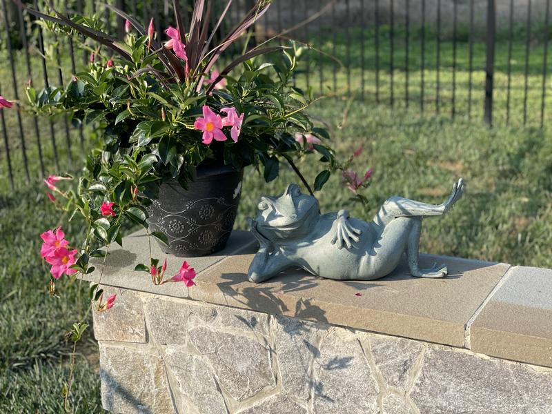 Outdoor Frog Statue Makeover Before and After - Intelligent Domestications