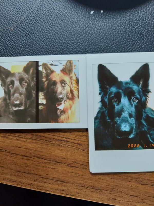 Love that I can print out the photos on the spot.