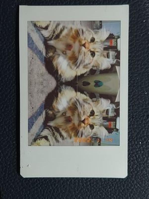 Mirror image setting