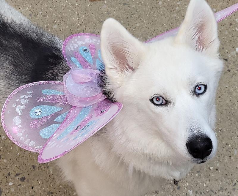 Review photo 1.