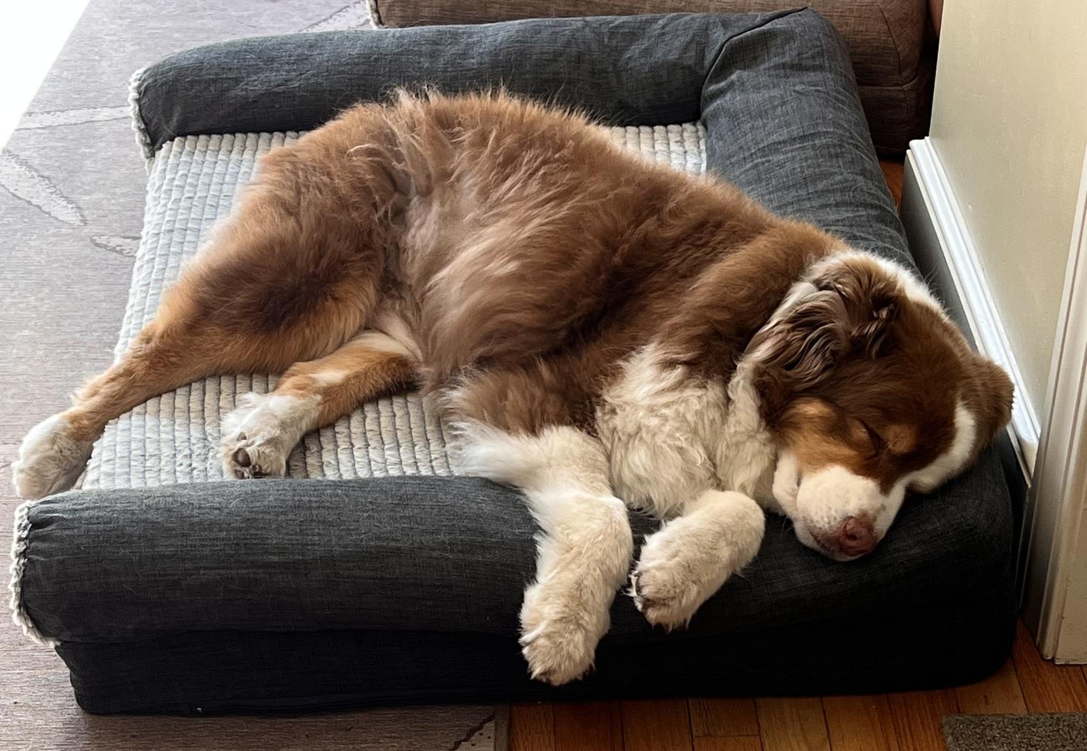 0881f61d-228c-5055-a9f6-