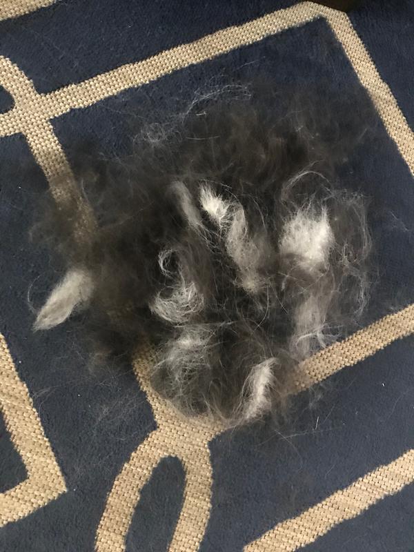 First time brushing for 5 minutes