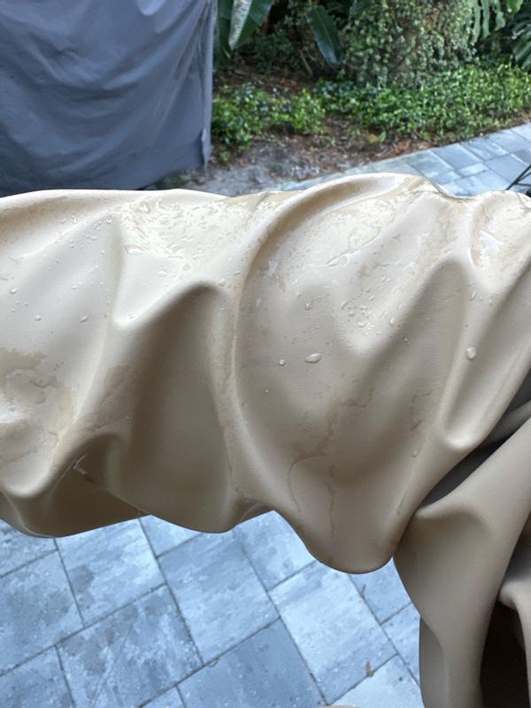 Customer carousel item 3.