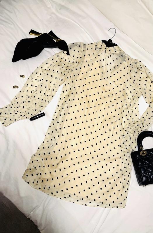 Review Thumbnail Image 3 381062749