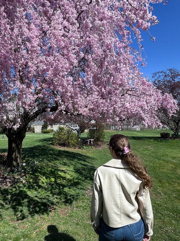 Review Thumbnail Image 1 383630726