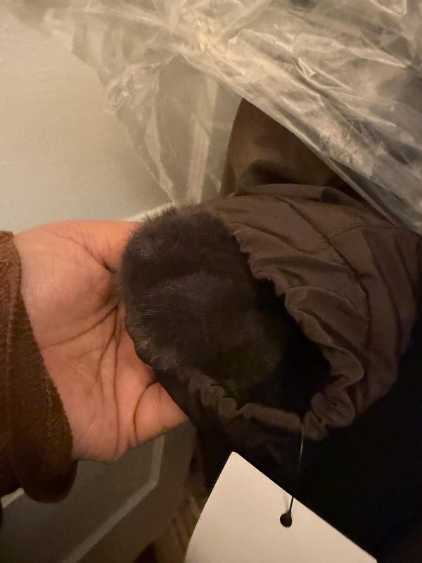 Review Thumbnail Image 0 382335025