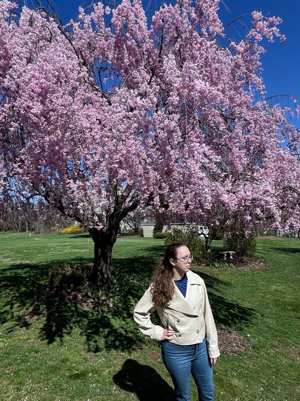 Review Thumbnail Image 0 383630726