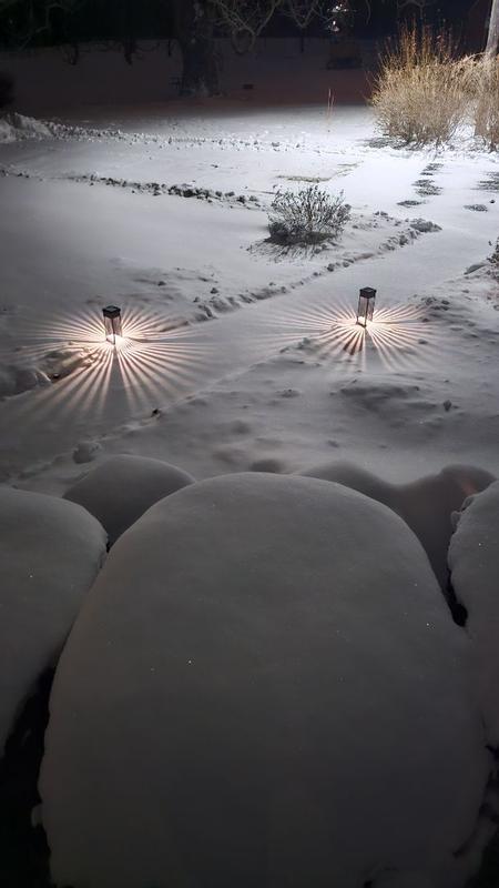 Harbor Breeze 2 -Pack 15 -Lumens Black Solar LED Outdoor Path