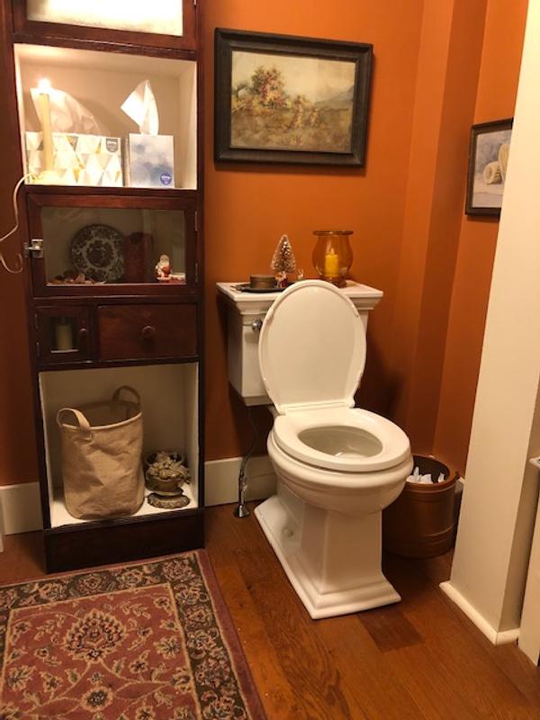 Kohler K-3817-0 White Memoirs Stately 1.28 GPF Two-Piece Elongated Comfort  Height Toilet with AquaPiston Technology Seat Not Included 