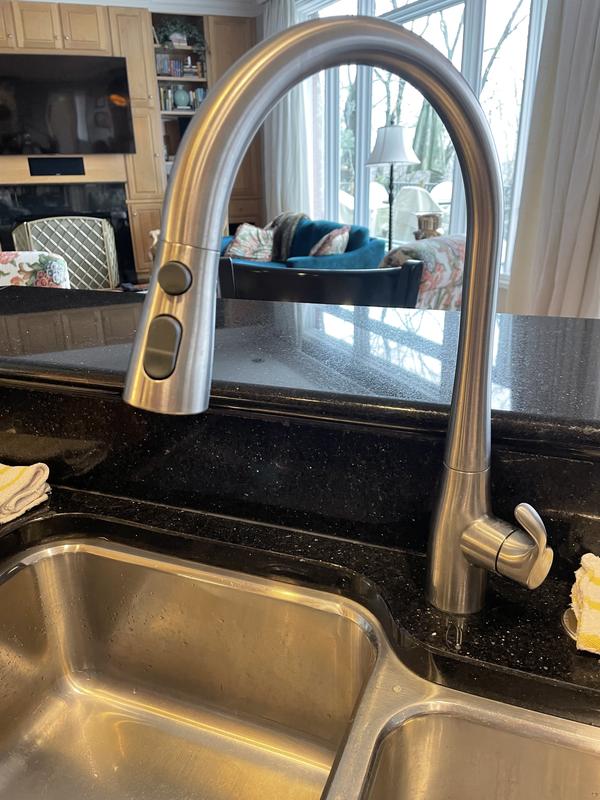Love this kitchen faucet