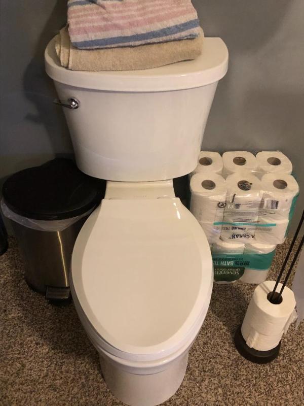 Kohler Bisque Toilet KOHLE K-25097-SSA Kingston Two-piece