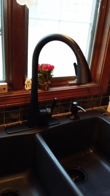 My new kitchen faucet