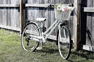 schwinn women's wayfarer 700c bike mint