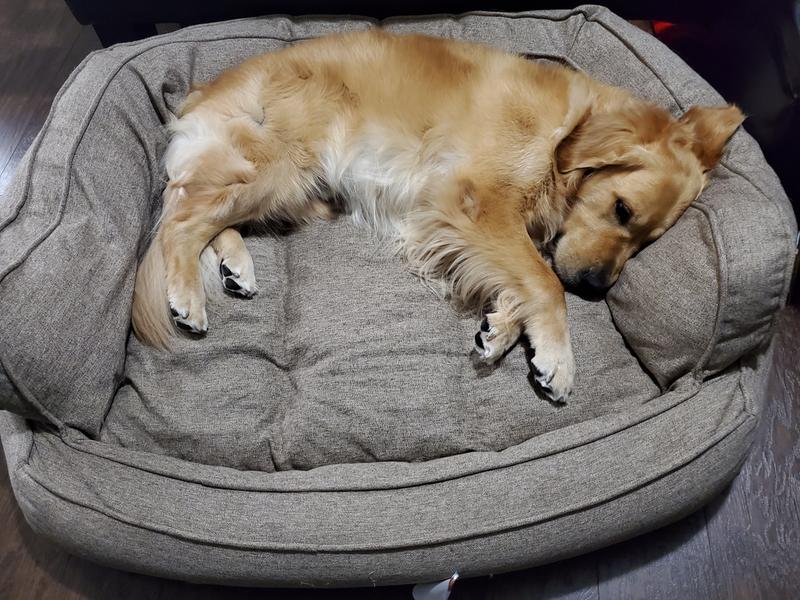 arlee home fashions dog bed