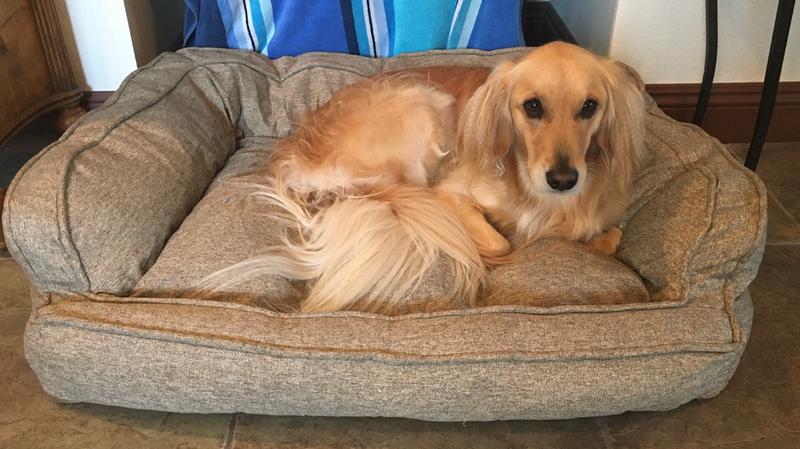arlee memory foam dog bed