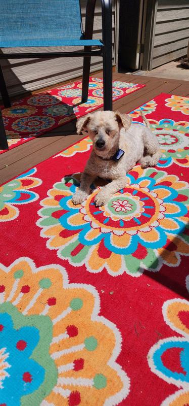 Sonoma Goods For Life® Floral Medallion Indoor / Outdoor Area or