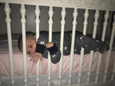 reste baby travel bed