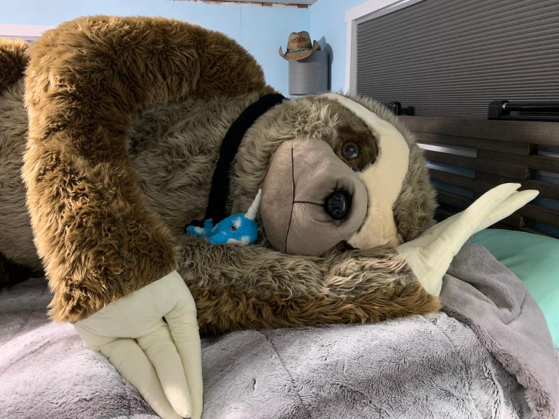 life size stuffed sloth