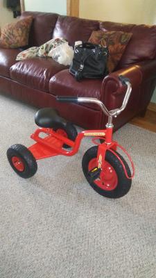 gener8 deluxe tricycle