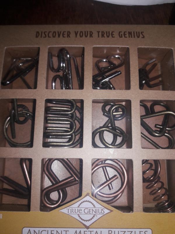 True Genius Ancient Metal Puzzle Set