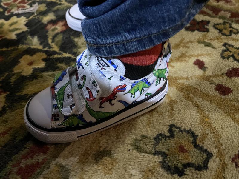 kohls dinosaur converse