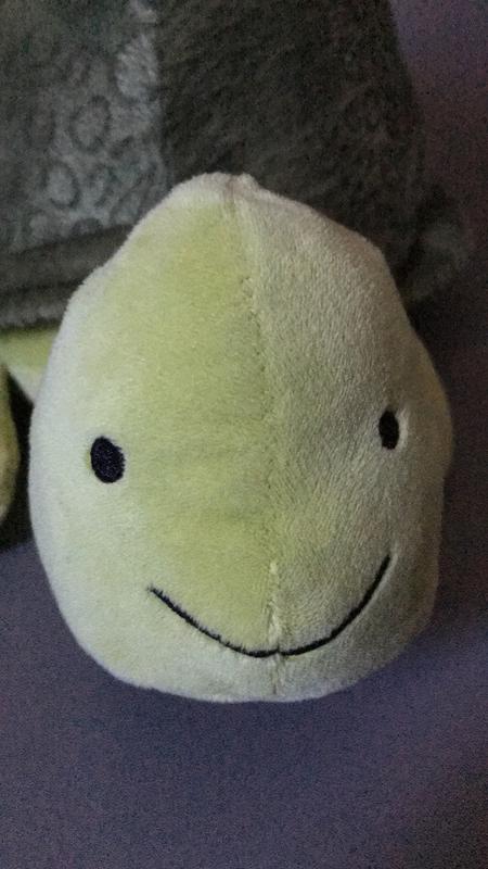 kohls cares turtle