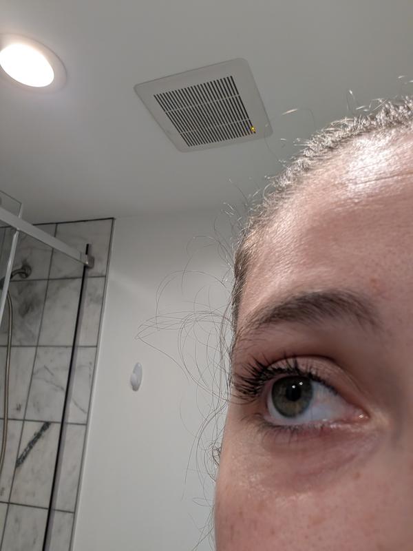 Customer photo for "perfect every day mascara"