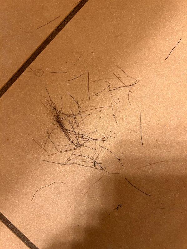 Customer photo for "Disappointed"